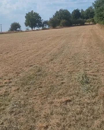 Terrain à bâtir