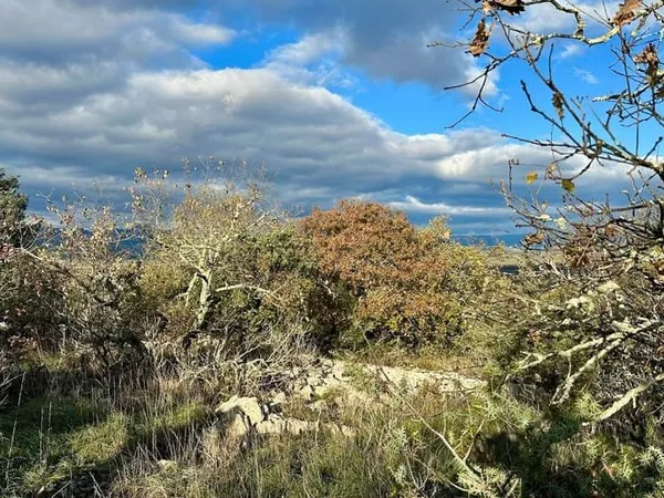 Terrain 52200 m²
