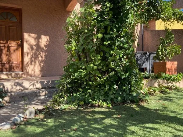 Maison 4 pièces 103 m²