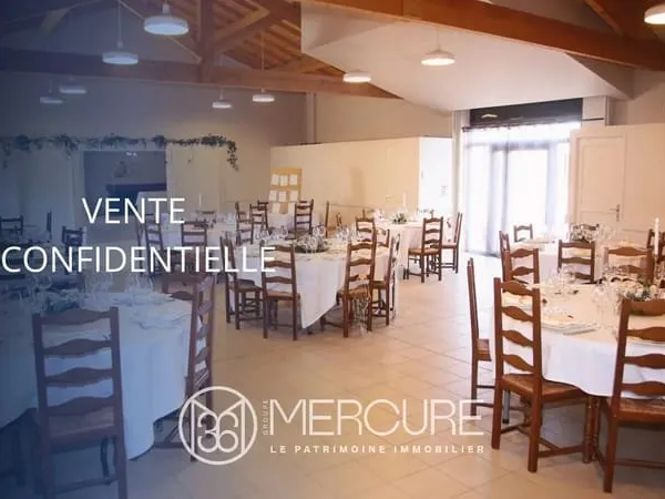 Nord Beaujolais - Domaine d'accueil clé en main avec activité rentable