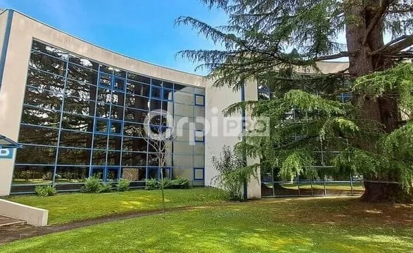 Bureau 40 m²
