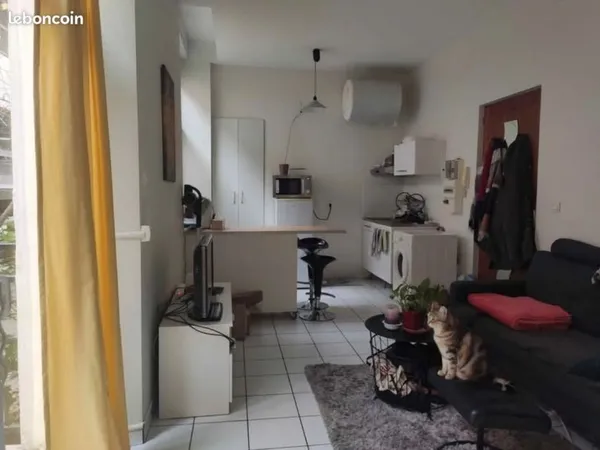 Appartement T2 à louer