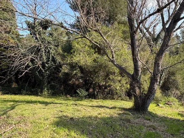 Terrain 950 m²
