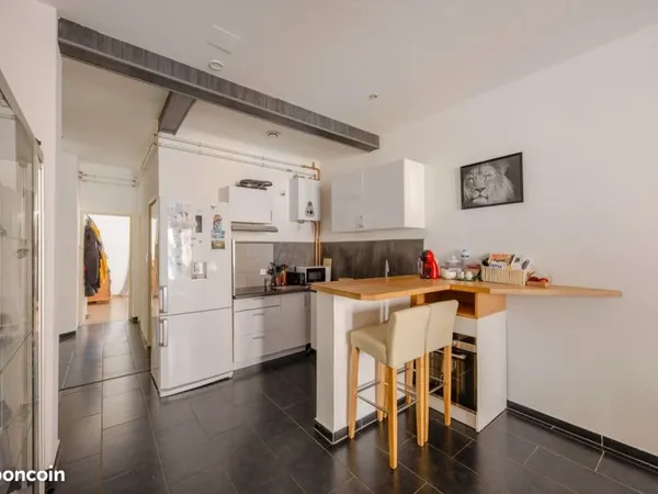 Appartement 3 pièces dans une maison Bourgeoise quartier Salengro