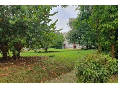 Location Appartement 4 pièces 75 m2 à Les Abymes