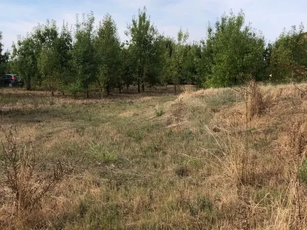 Terrain plat constructible de 1 634 m² - Proche Vézénobres