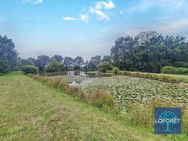 Terrain 24664 m²