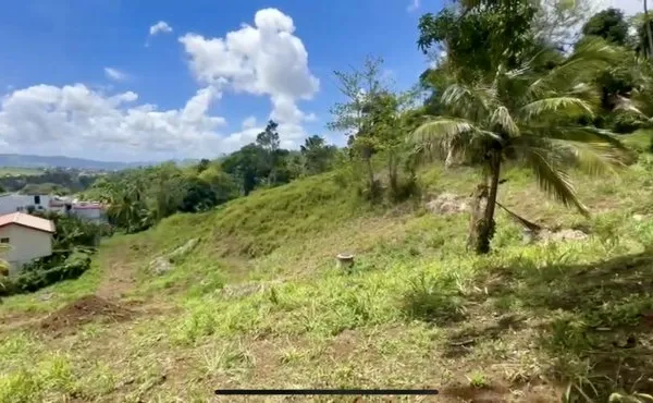 Terrain 556 m²