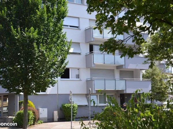 Centre ville Haguenau magnifique F1 40m2