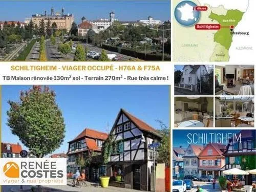 Viager occupé - F75-H76 ans - SCHILTIGHEIM (67300)