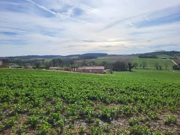 Terrain constructible