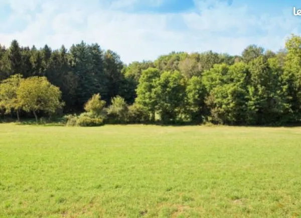 Terrain 1 868 m² Saint Amand Les Eaux