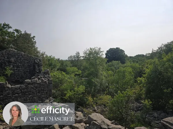 Terrain 32000 m²
