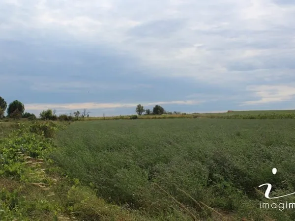 Terrain non constructible