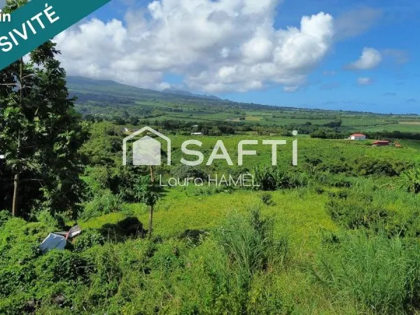 Terrain 8861 m² LE LORRAIN