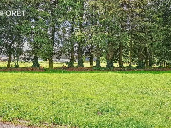 Terrain 901 m2 - viabilisé - Terres de Caux
