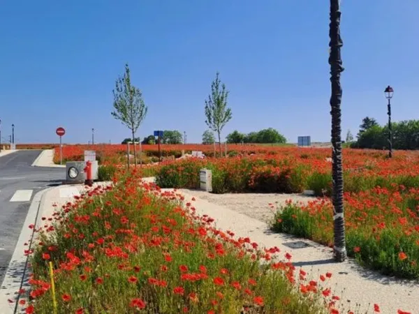 Terrain 266 m²