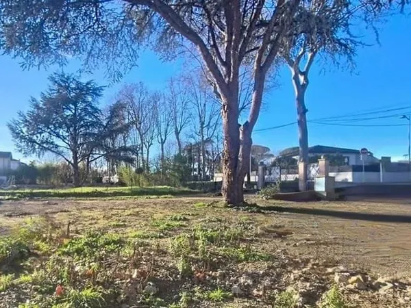 Terrain 420 m²