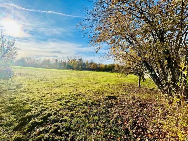 Terrain 1155 m²
