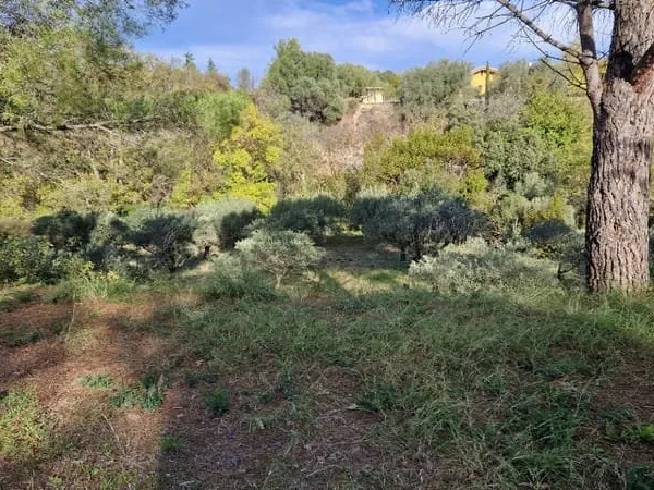 Terrain de 4250 m2 avec 900m2 constructible