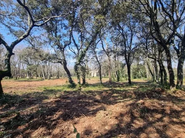 Terrain à bâtir Vente Uzès  940m² 190000€