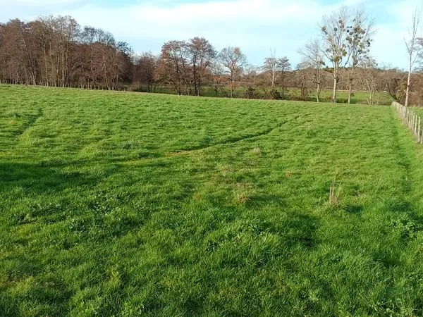 Bien agricole et foncier Vente Cézac  38200m² 18000€