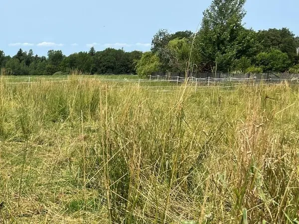 Terrain constructible 459 m²