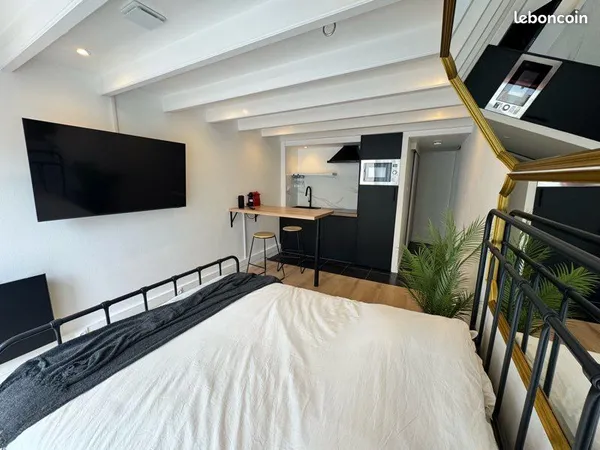 Appartement 1 piece 25 m2