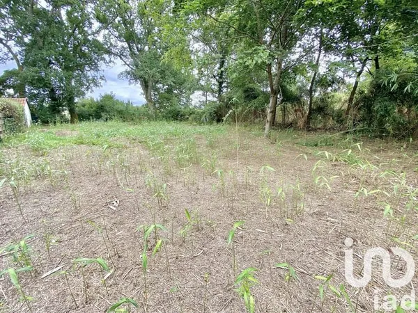 Terrain 1201 m²