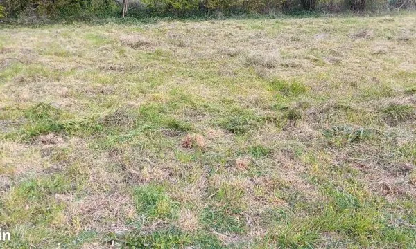 Parcelles jardin