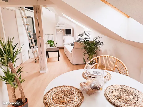Logement avec terrasse