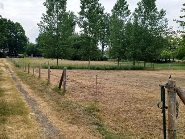 Terrain de loisirs , moutons, chevaux, plantations