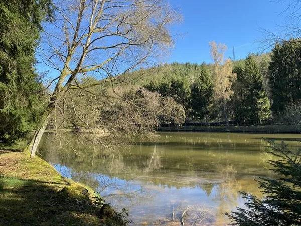 Etang Bruyères