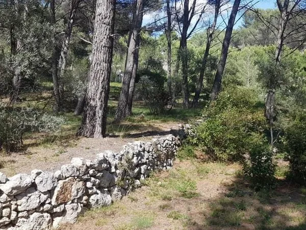 Terrain de loisirs (non constructible)
