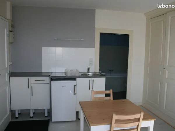 Studio meublé BLOIS CENTRE à 10 min à pied de la gare/INSA/IUT et à 5 min des rues piétonnes