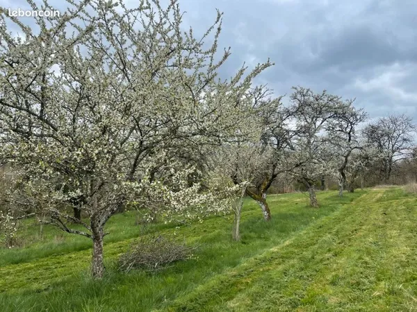 Terrain verger 1 hectare