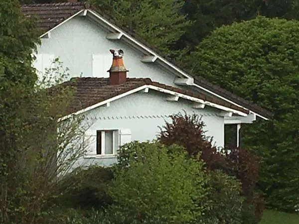Maison chalet 180m2 sur 40 ares clôturés