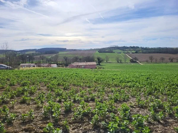 Terrain constructible