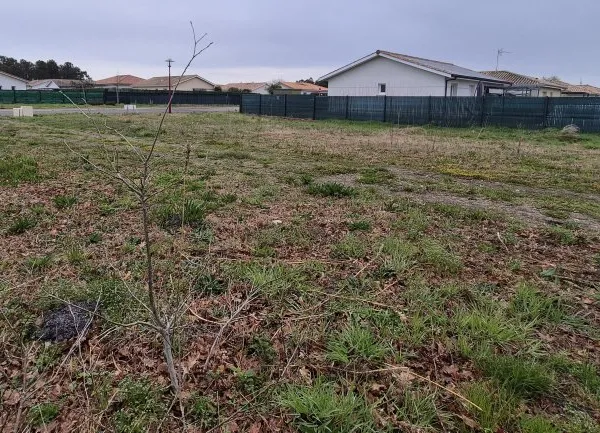 Terrain 528 m²