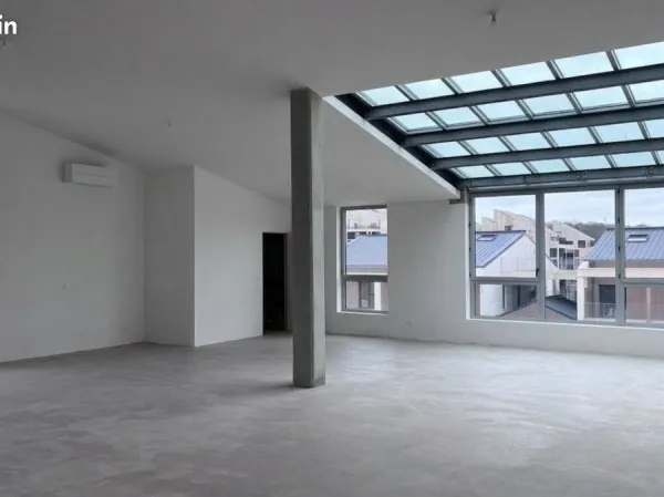 Loft Industriel 178m² - Brazza