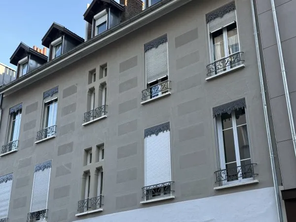 Coup de coeur assuré - Duplex lumineux 2 pièces Grenoble Ile Verte