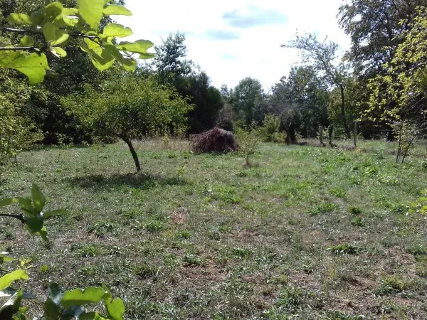 Terrain en individuel 869 m²