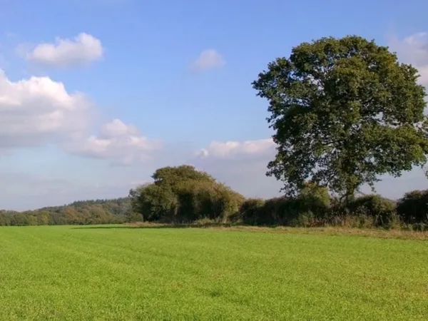 Terrain 417 m²
