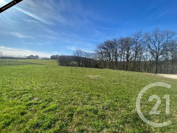 Terrain 3194 m²