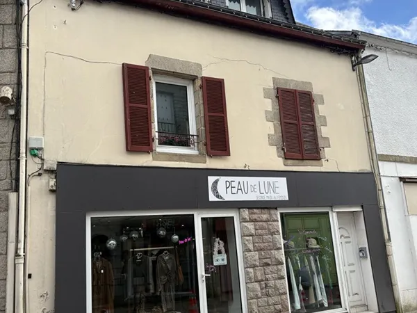 Bien immobilier de rendement Vente Locminé   210000€