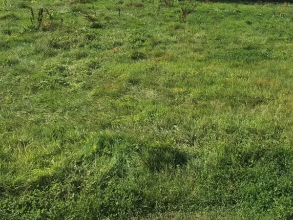 Terrain 950 m²