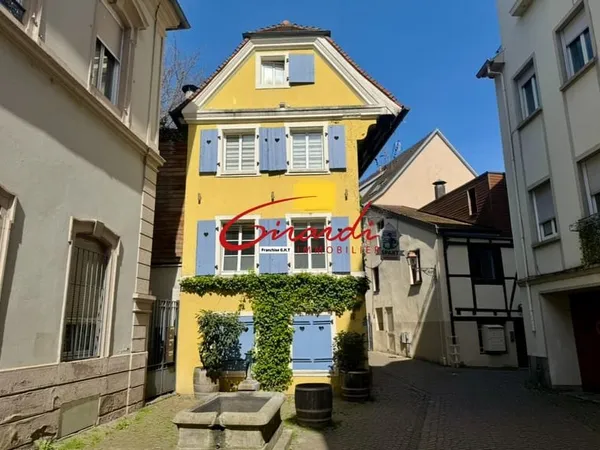 IMMEUBLE 3 APPARTEMENTS LIBRES- 2 TERRASSES SANS VIS A VIS-
