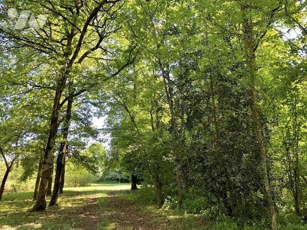 Terrain 10610 m²