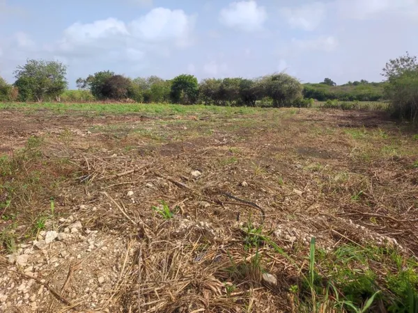 Terrain en individuel 2154 m²