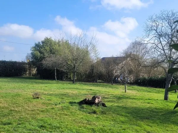 Terrain 1649 m²